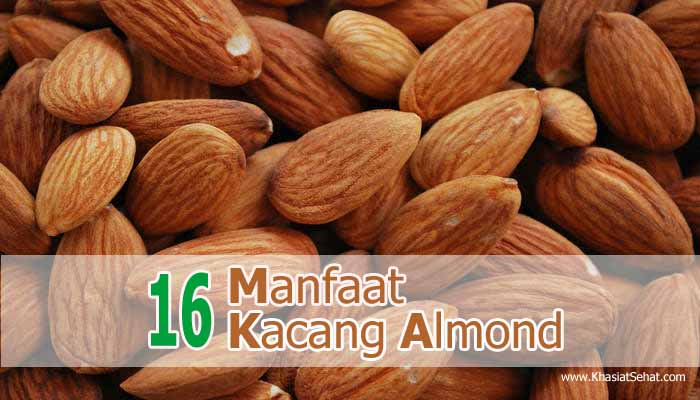 16 Manfaat Kacang Almond untuk Kesehatan - Khasiat Sehat