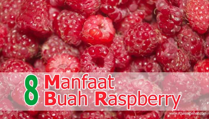 Manfaat Buah Raspberry