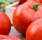 11 Manfaat dan Khasiat Tomat Untuk Kesehatan Dan Nilai Gizinya