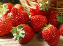 10 Manfaat Buah Strawberry Untuk Kesehatan Tubuh - Khasiat Sehat
