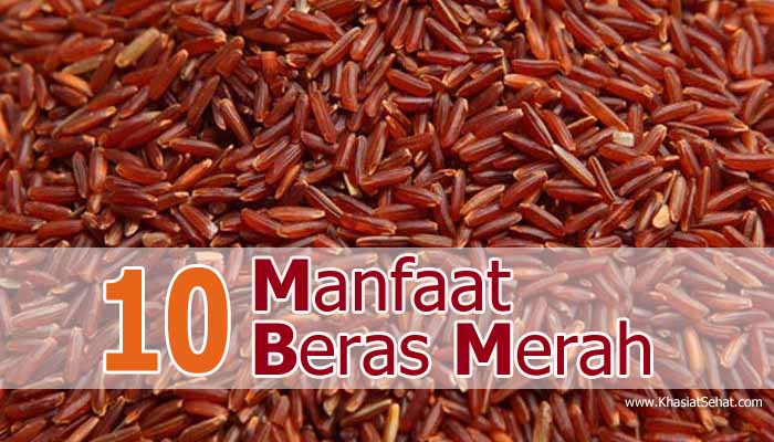 10 Manfaat Beras Merah untuk Kesehatan - Khasiat Sehat