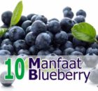 10 Manfaat Buah Blueberry untuk Kesehatan - Khasiat Sehat