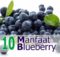 10 Manfaat Buah Blueberry untuk Kesehatan - Khasiat Sehat