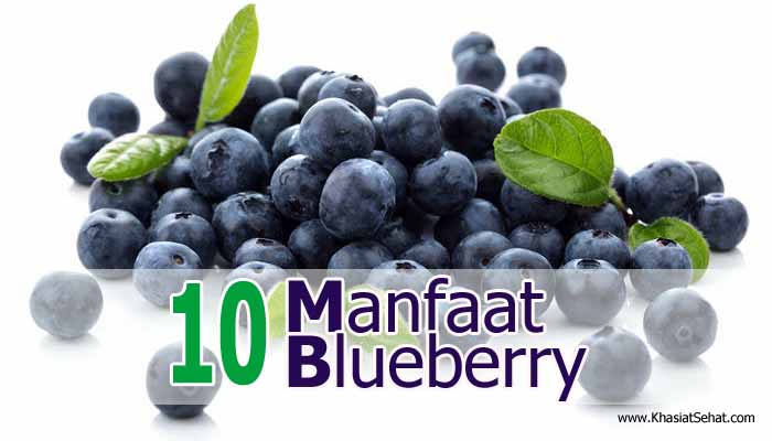 10 Manfaat Buah Blueberry untuk Kesehatan - Khasiat Sehat