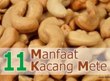 11 Manfaat Kacang Mete untuk Kesehatan - Khasiat Sehat