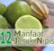 12 Manfaat Jeruk Nipis untuk Kesehatan - Khasiat Sehat