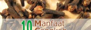 10 Khasiat Cengkeh untuk Kesehatan