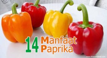 14 Khasiat Paprika untuk Kesehatan