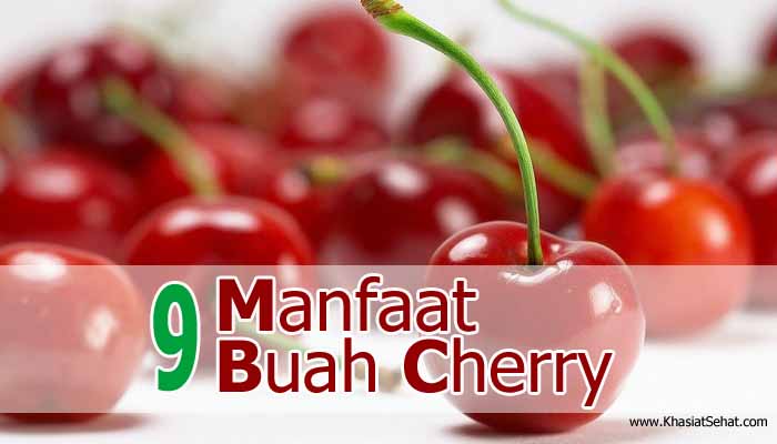 manfaat buah cherry  kesehatan khasiat sehat