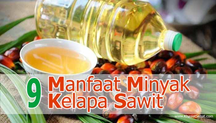 9 Manfaat Minyak Kelapa Sawit  untuk Kesehatan Khasiat Sehat