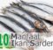 Manfaat Ikan Sarden