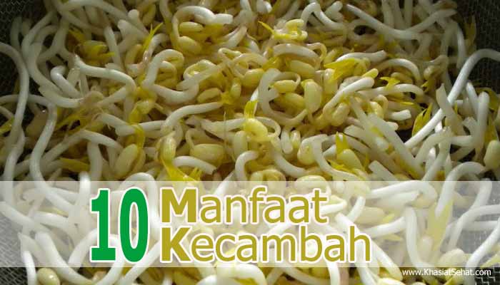 10 Manfaat Kecambah untuk Kesehatan dan Efek Sampingnya - Khasiat Sehat