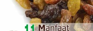 11 Khasiat Kismis untuk Kesehatan