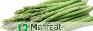 13 Khasiat Asparagus untuk Kesehatan