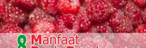 8 Khasiat Buah Raspberry untuk Kesehatan