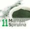 Manfaat Spirulina