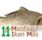 Manfaat Ikan Mas
