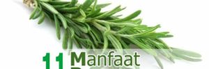 11 Khasiat Tanaman Rosemary untuk Kesehatan