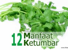 Manfaat Ketumbar