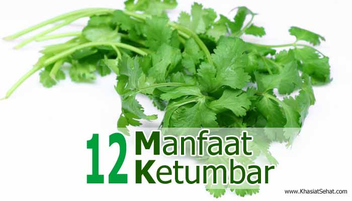 12 Manfaat Ketumbar untuk Kesehatan & Efek Sampingnya