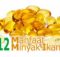 Manfaat Minyak Ikan