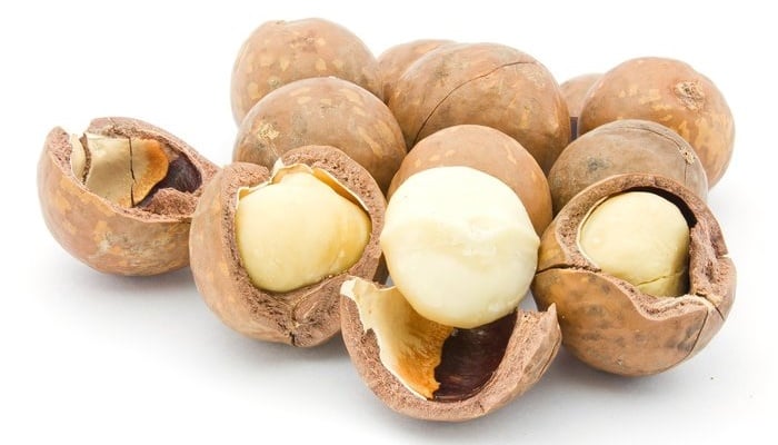 Hasil gambar untuk kacang macadamia