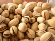 Manfaat Kacang Pistachio