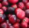 Manfaat Cranberry