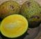 Manfaat Buah Bacang
