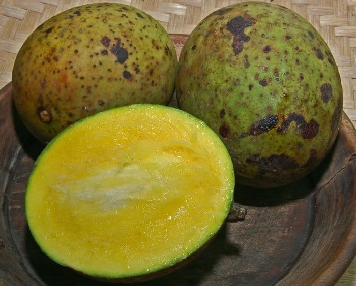 khasiat manfaat buah bacang  kesehatan