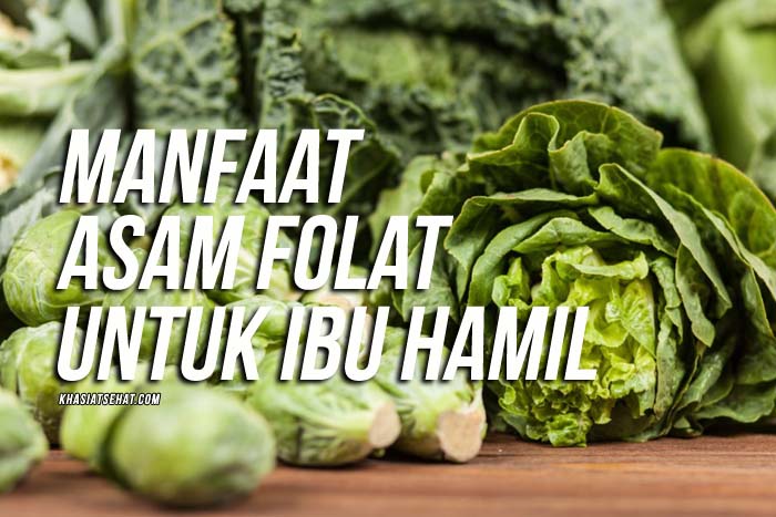4 Manfaat Asam Folat untuk Ibu Hamil KhasiatSehat com 4 Manfaat Asam Folat untuk Ibu Hamil KhasiatSehat com