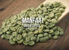 Manfaat Green Coffee