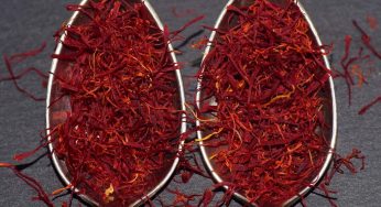 8 Manfaat Saffron untuk Kesehatan dan Efek Sampingnya