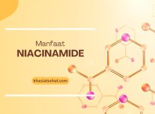 manfaat niacinamide