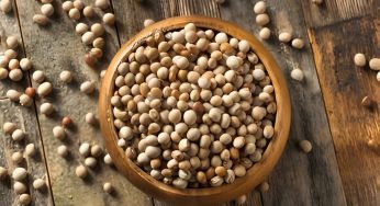 9 Manfaat Kacang Tolo dan Efek Sampingnya