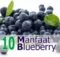 10 Manfaat Buah Blueberry untuk Kesehatan - Khasiat Sehat