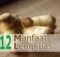 12 Manfaat Lengkuas untuk Kesehatan - Khasiat Sehat