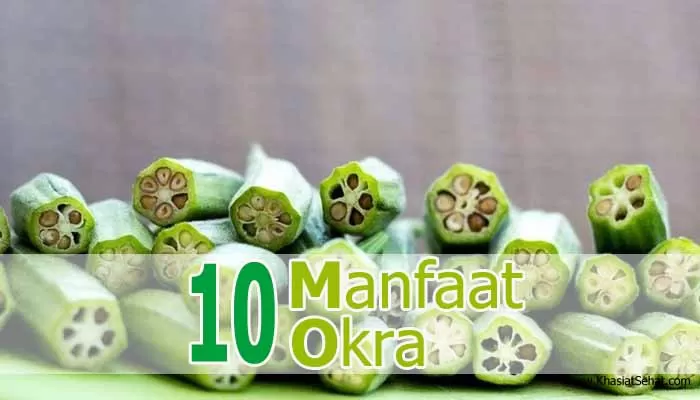 10 Manfaat Okra untuk Kesehatan dan Efek Sampingnya - KhasiatSehat.com