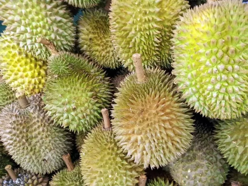 gambar buah buahan durian