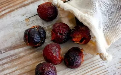 9 Manfaat Buah Lerak: Si Hitam Ajaib dengan Banyak Kegunaan