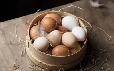 7 Manfaat Telur Ayam untuk Kesehatan dan Kandungan Gizinya
